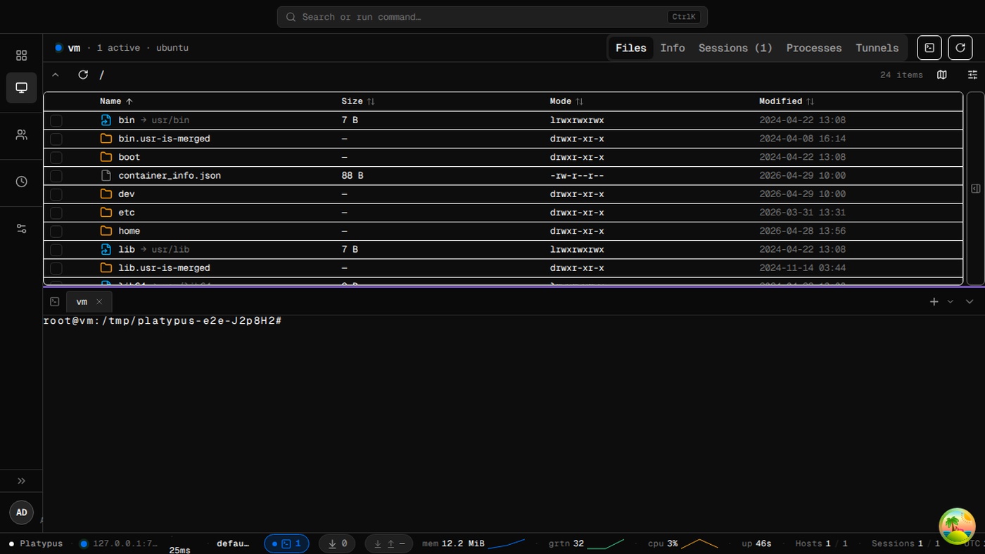 Dark Platypus Fleet hosts inventory UI showing one online Ubuntu host.